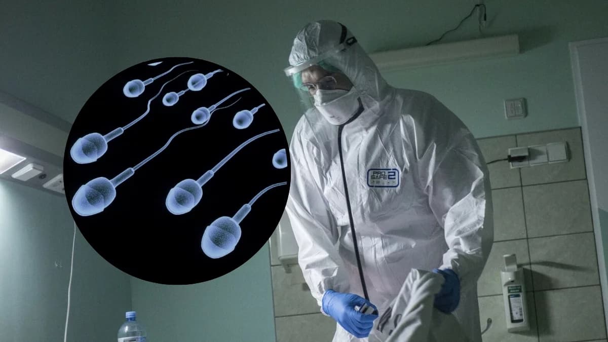 Hantawirus wykryty po sześciu latach. Ukrywał się w nasieniu