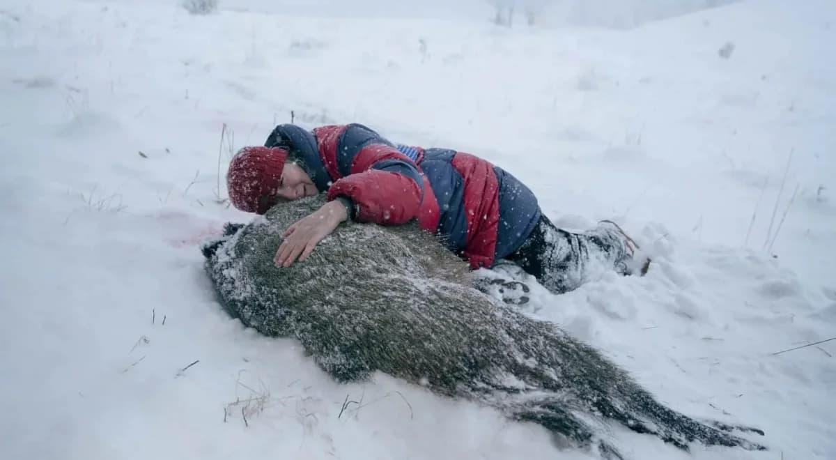 Włosi gustują w polskim kinie. Pokażą filmy Holland, nie ma już wolnych miejsc