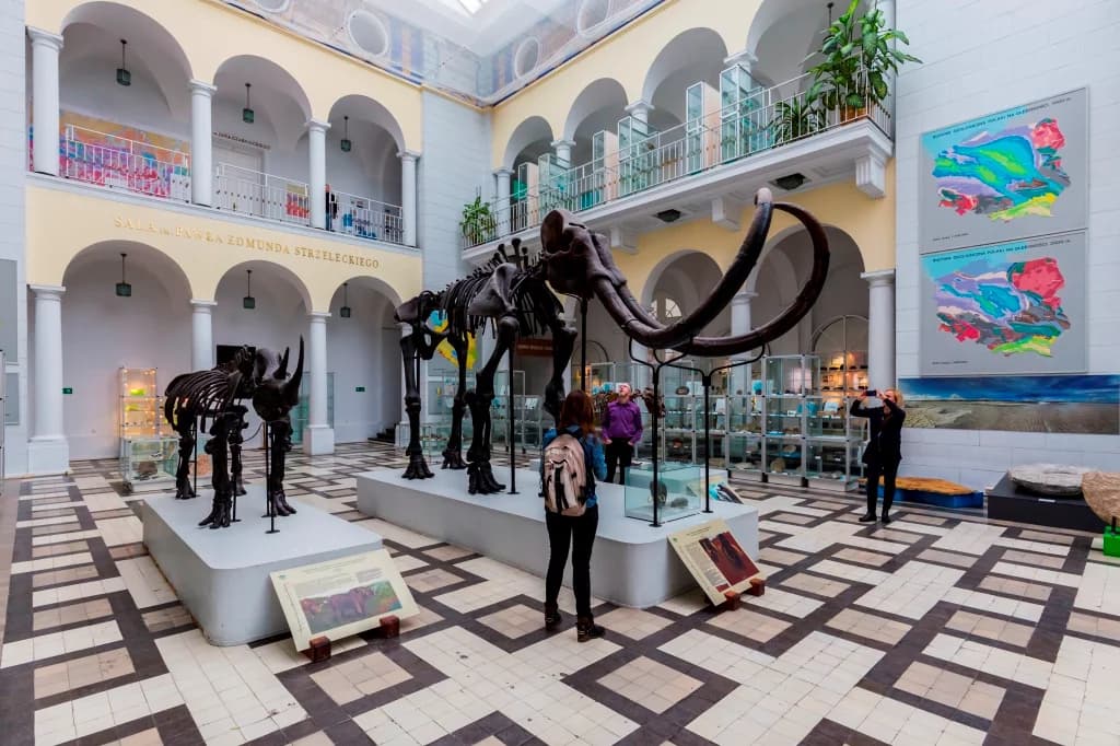 Polska będzie mieć nowoczesne muzeum historii naturalnej