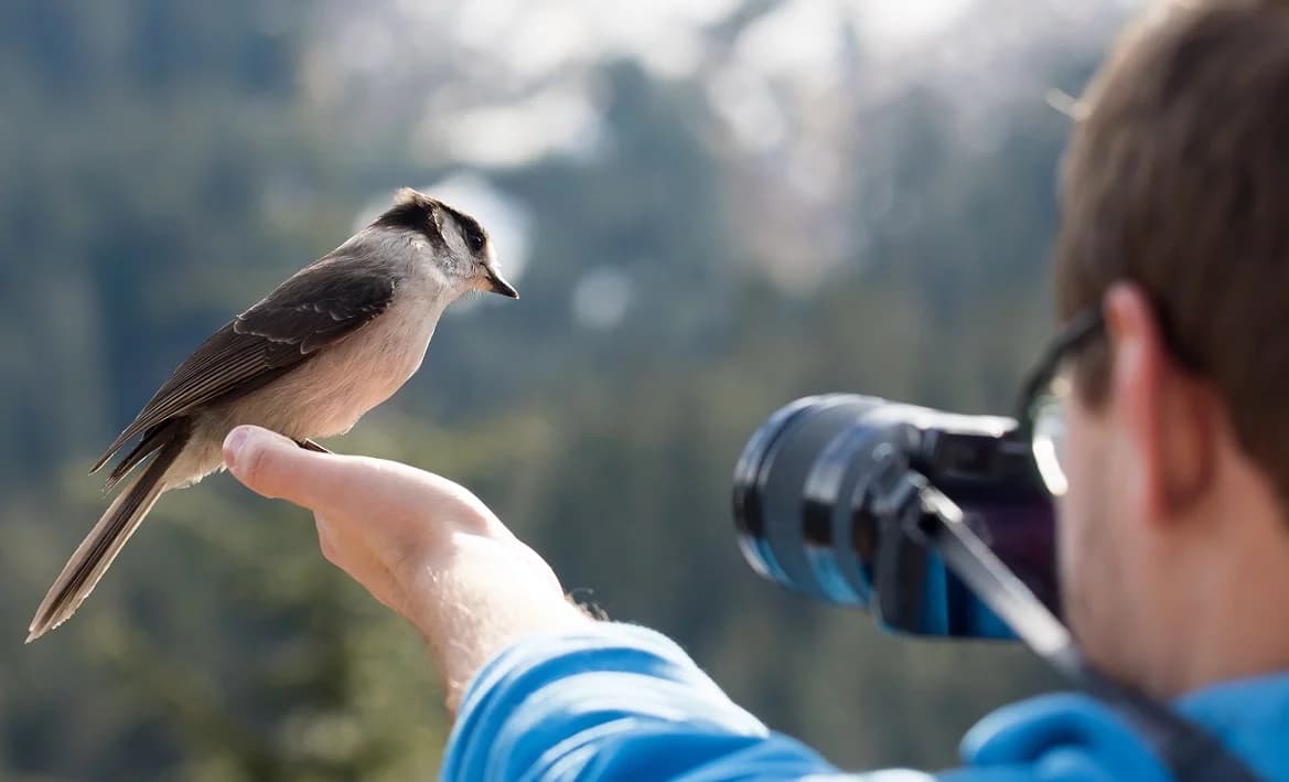 Nowa pasja zetek zaskakuje. Birdwatching sposobem na odpoczynek od ekranów