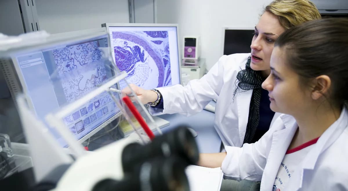 Wykrywa chorobę na lata wcześniej. Nowy model AI przełomem w diagnostyce?