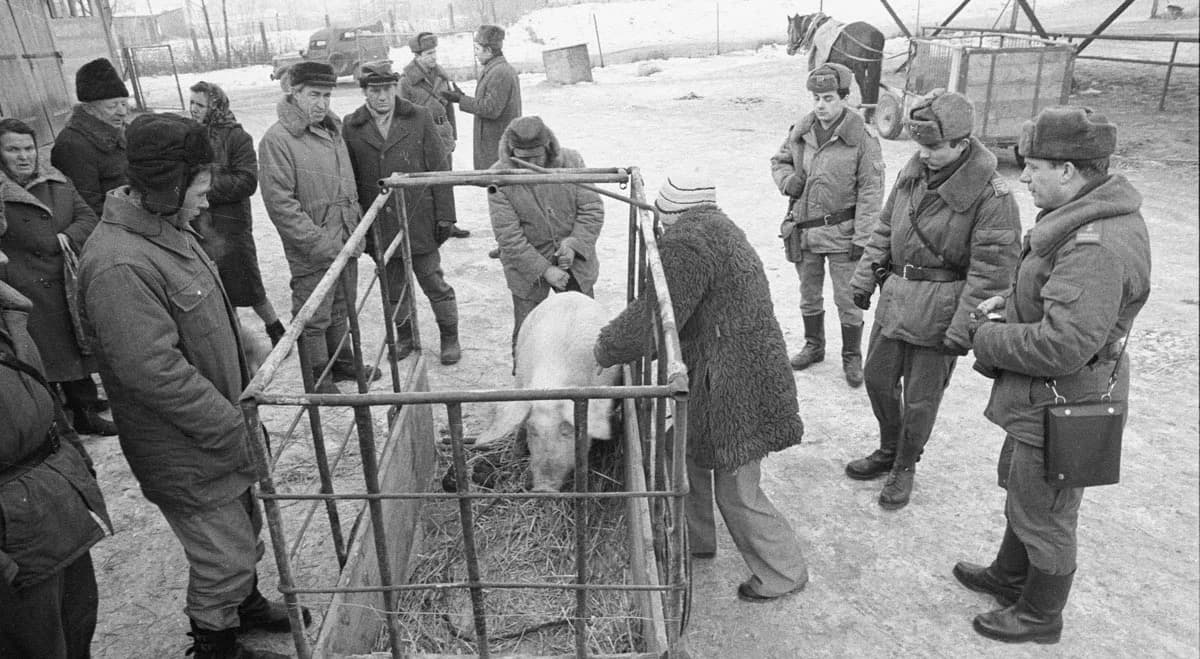 Stan wojenny. Terenowe Grupy Operacyjne – koń trojański Jaruzelskiego