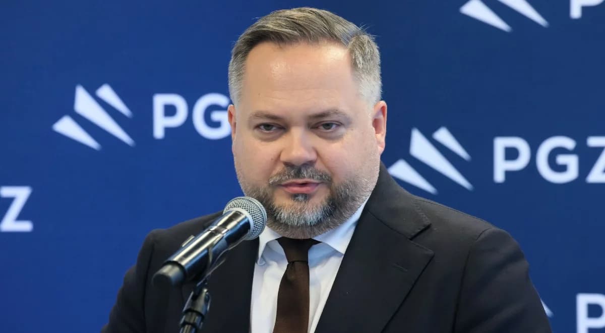 Wątpliwości wokół SAFE. Gołota: mamy piramidę dezinformacji