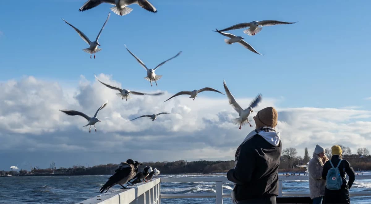 Rezerwacje wystrzeliły. Ten kierunek Polacy wybrali na długi weekend