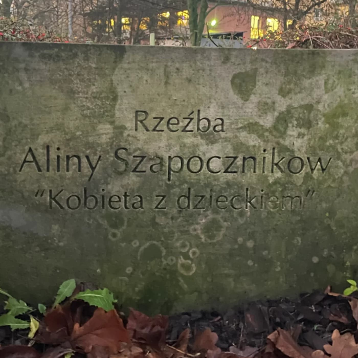 "Alina czuwa" - reportaż Hanny Dołęgowskiej